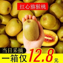 Authentic Sichuan Red Heart Exotic Fruits of the season Fresh pregnant women Fruits Chieca Fruits Kiwifruit Big Fruit Mud Waiting for Found Hair