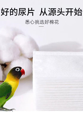 鹦鹉尿片尿不湿垫屎兜一次性隔尿布小鸟玄凤和尚虎皮牡丹用纸尿裤