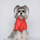 New Year Dog Cotton Clothes Pet Clothes