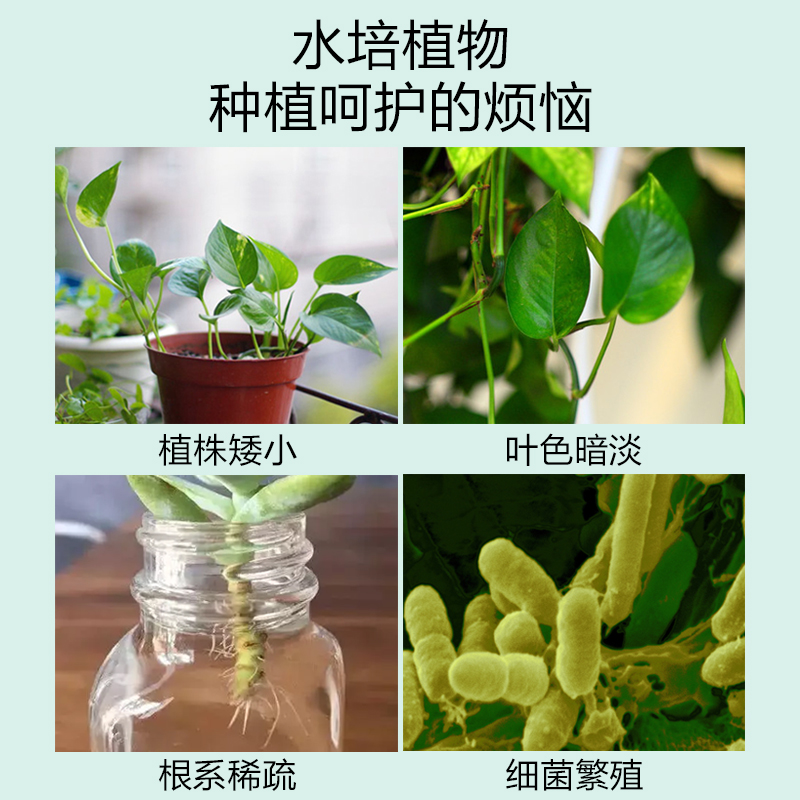 水培植物营养液水培绿萝白掌铜钱草巴西木液体浓缩肥料富贵竹专用