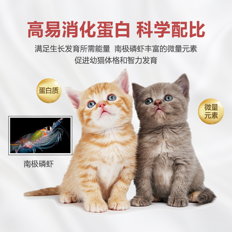 Cheershare畅享幼猫猫粮英短美短折耳布偶幼猫母猫<a href=