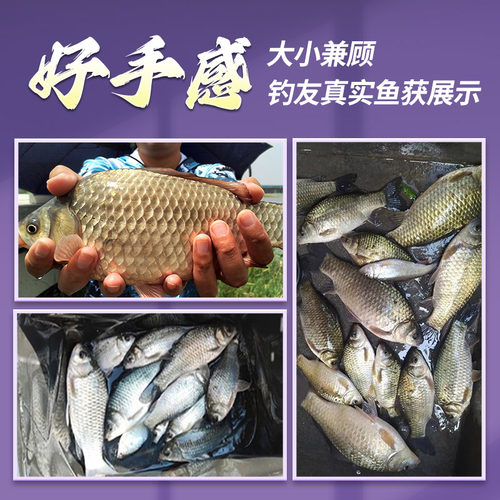 澳西尼黑坑钓鱼竿手杆超轻超硬19调黑棍8H飞磕6H罗非10H野钓大物 - 图3