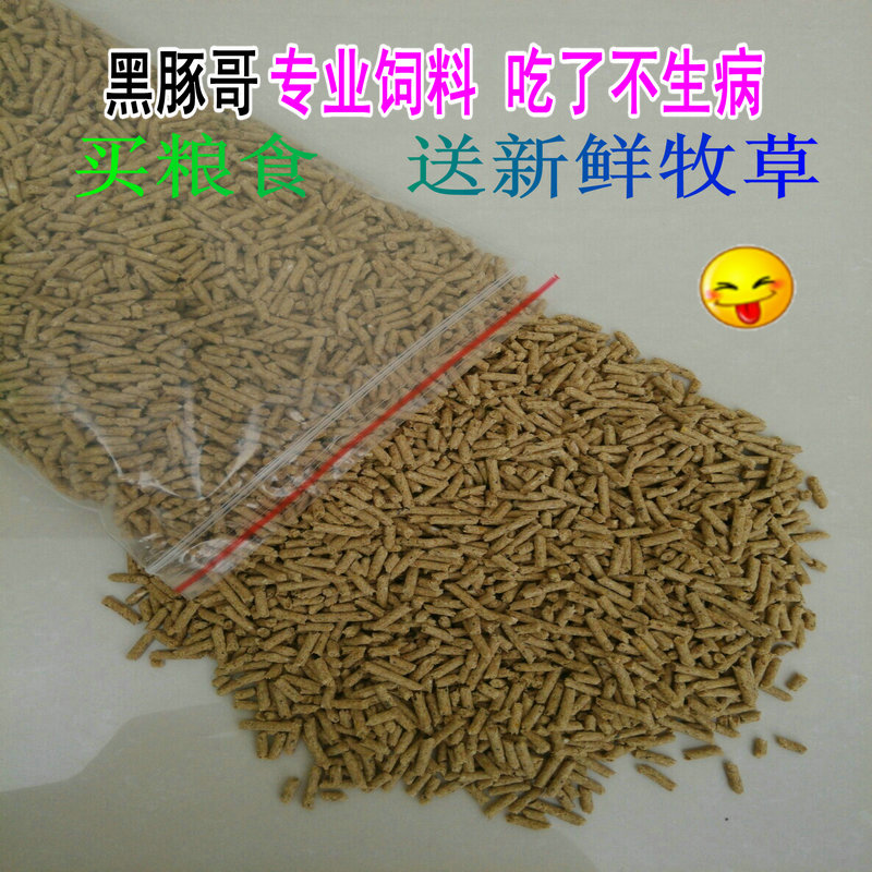 荷兰猪豚鼠粮食天竺鼠饲料 除臭抗球虫含VC兔子草料专业主粮2斤装 - 图0