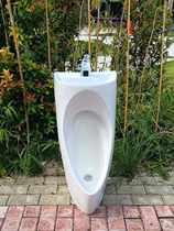 Floor-style with a small poop with a hand wash basin