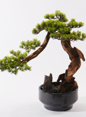 新中式风陶瓷玄关柜会所迎客松树