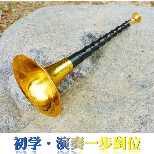 专业唢呐乐器镜面堂演奏级降b调戏曲乌木黑檀升F成人儿童入门D调 - 图2