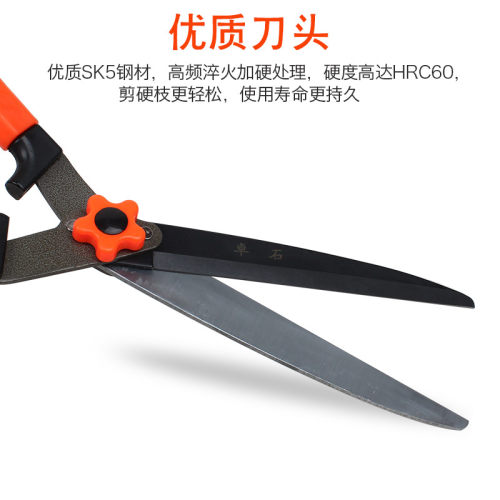 园艺剪刀绿篱剪伸缩修枝园林绿化工具草坪剪花草家用大剪刀粗枝剪 - 图1