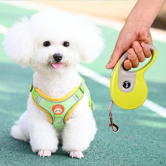 Carroll dog harness is breathable and adjustable
