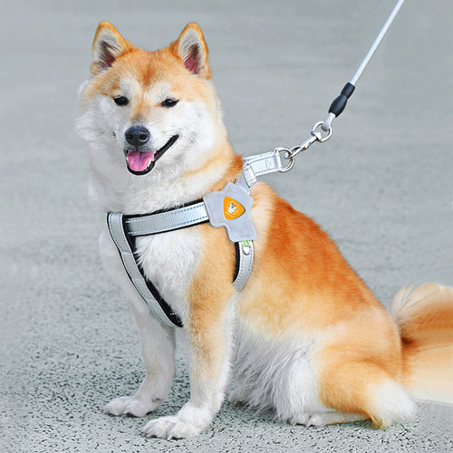 狗狗牵引绳背心式宠物胸背带遛狗绳中小型柴犬柯基比熊泰迪狗链子-图2