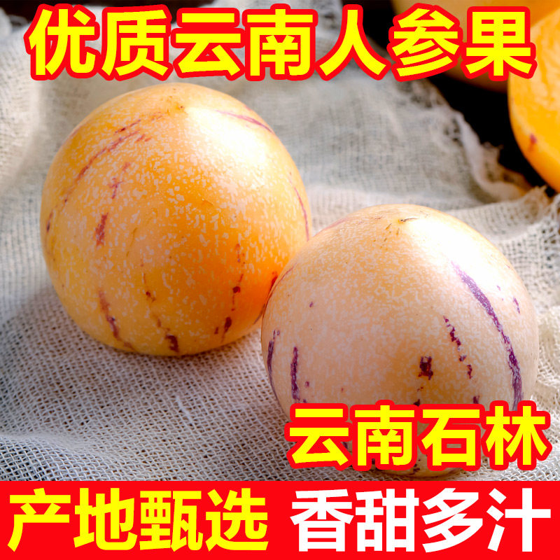 云南石林人参果新鲜水果树上熟5斤大果黄肉果10斤当季整箱包邮