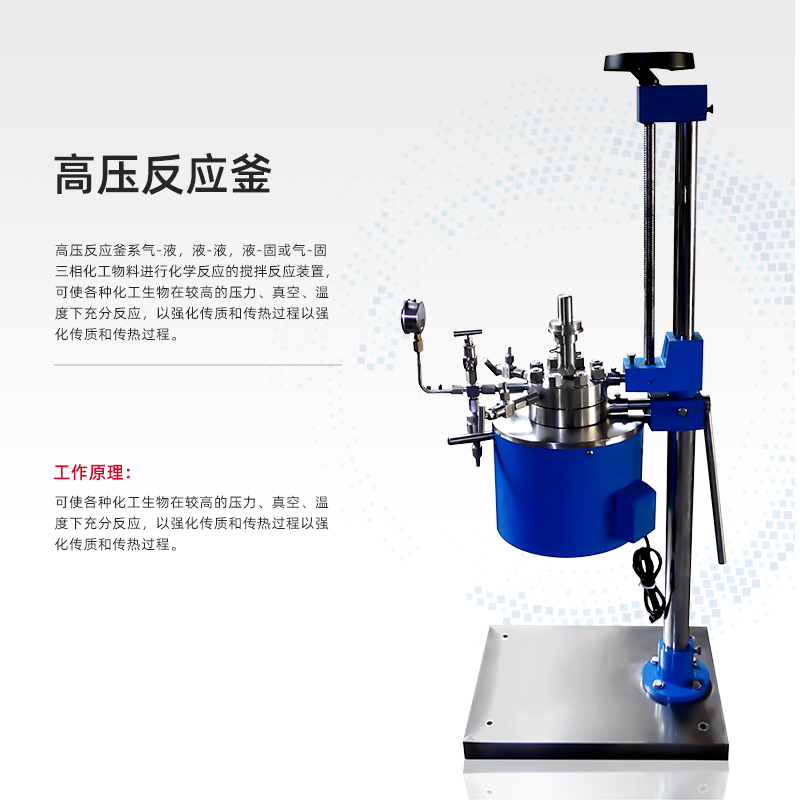 世联良工实验室高温高压不锈钢反应釜磁力搅拌消解罐反应器氢化釜-图2