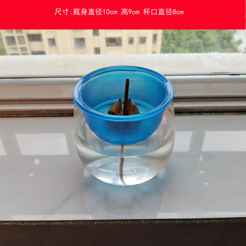 掌中宝牛油果水养种植瓶牛油果核种子小号水培器皿牛油果控的最爱 - 图2