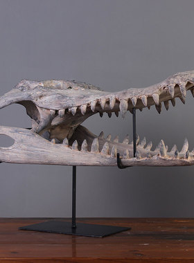 仿真道具仿真风恐龙道具动物骨骼