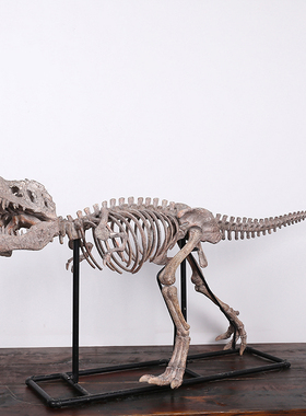霸王龙骨架化石落地摆件科普模型