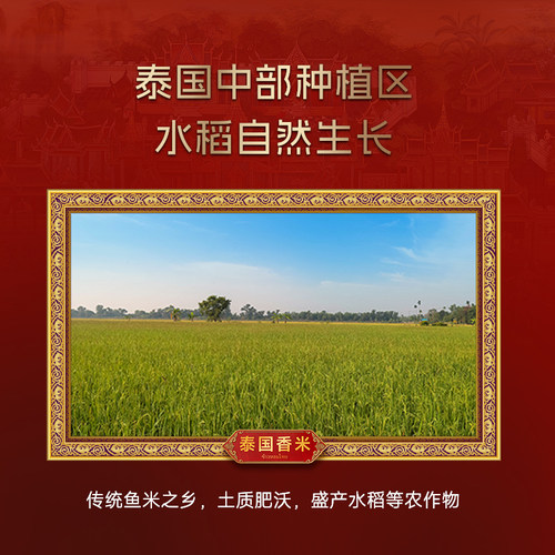 孟乍隆泰国香米10kg 进口长粒香大米20斤包邮 - 图0
