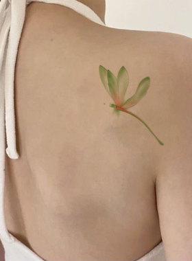 嫩绿色蜻蜓精致纯欲彩色纹身贴