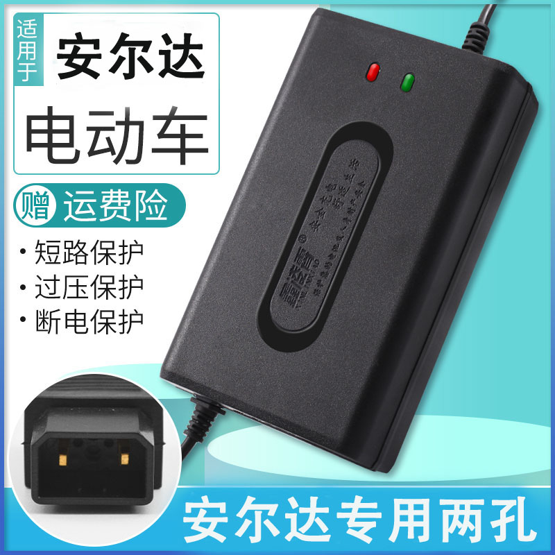 安尔达电动车电瓶通用充电器48V12AH20AH60V72V安尔达公头两孔 - 图0