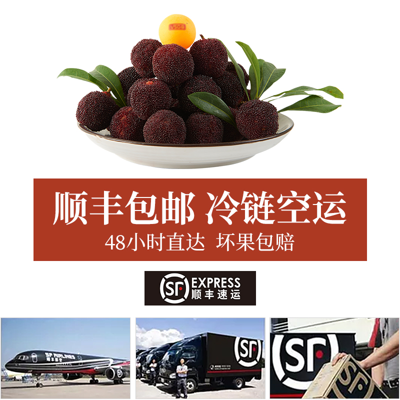 仙乡旗舰店【贡品级】正宗仙居杨梅新鲜东魁杨梅现摘现发当季水果6斤礼盒装3