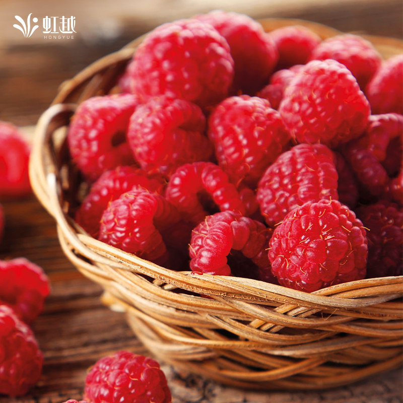 虹越树莓苗盆栽树苗南北方种植多年生阳台果树金秋,淘宝优惠券,粉丝福利购,淘宝优惠卷