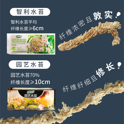 虹越花彩师水苔无菌干水苔蝴蝶兰花专用土有机苔藓乌龟冬眠材覆盖 - 图2