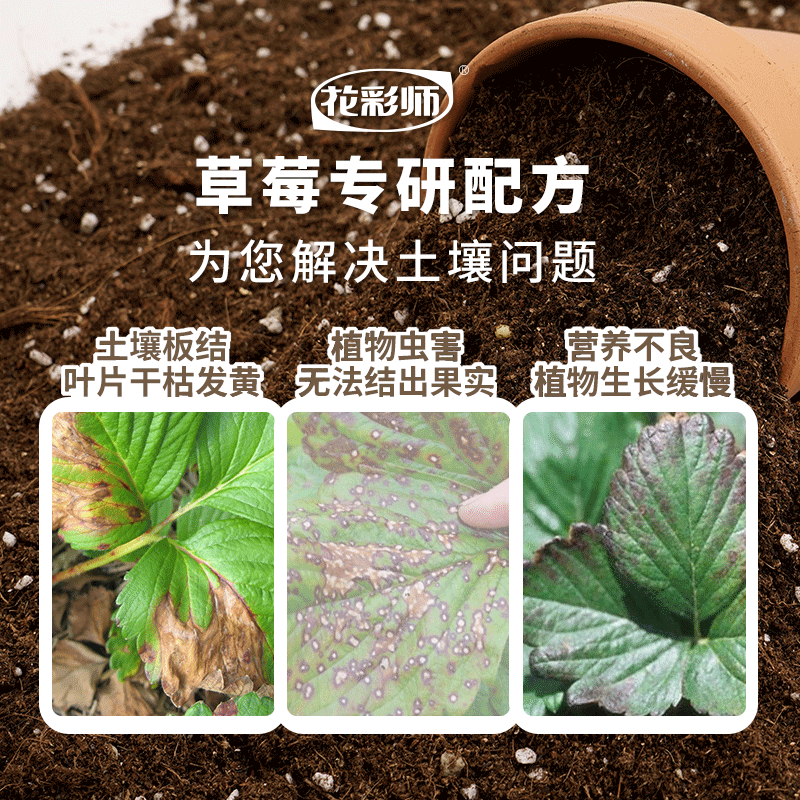 虹越花彩师草莓专用营养土有机介质水果果树通用肥营养液种植土壤 - 图1