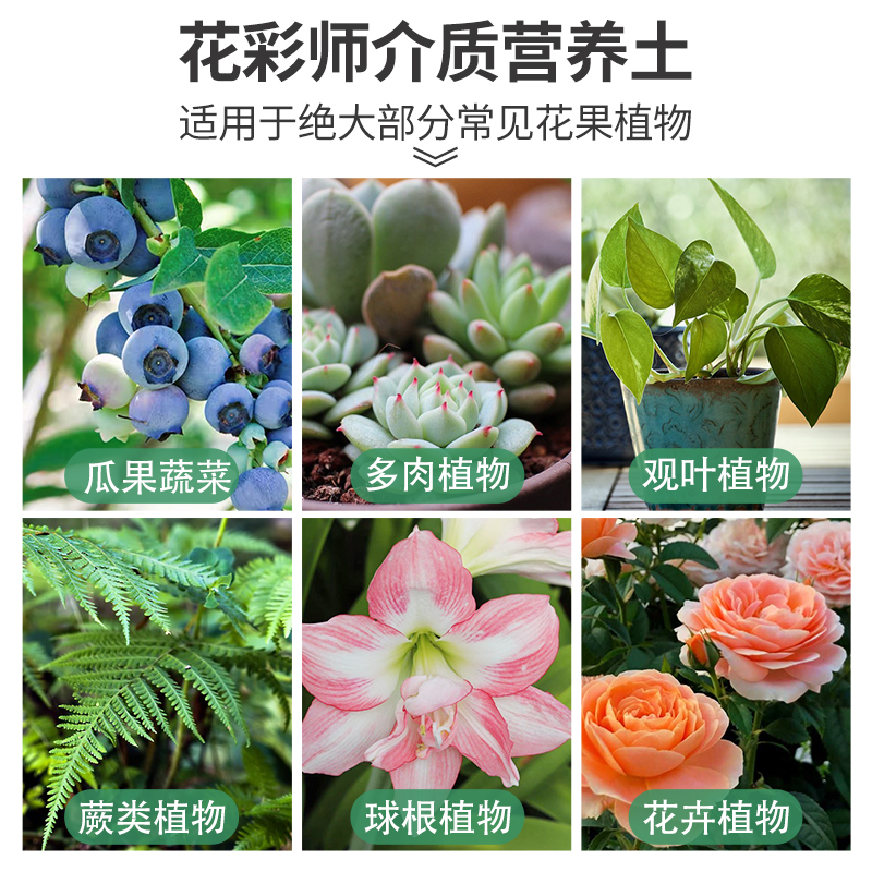 虹越花彩师营养土养花通用专用多肉花土泥炭土月季兰花土壤种植土 - 图3