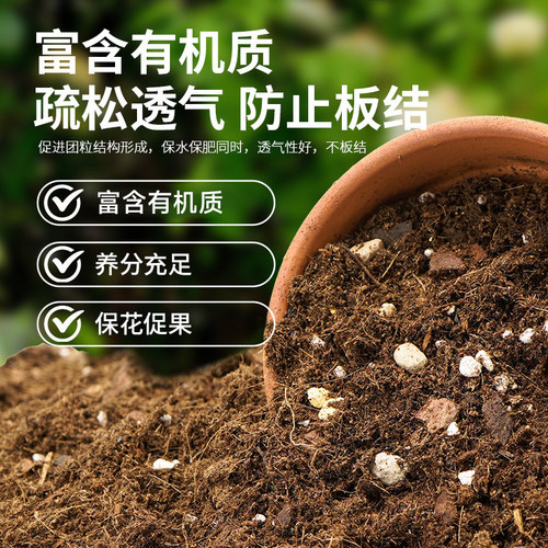 虹越花彩师营养土养花通用专用多肉花土泥炭土月季兰花土壤种植土 - 图0