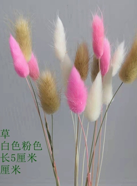 彩色多品种混搭云南干花真花自由搭配ins天然小清新客厅花束家居