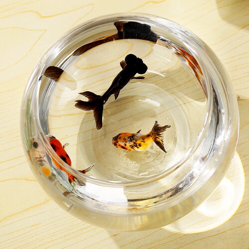 小鱼缸客厅桌面玻璃鱼缸水族箱小型龟缸家用乌龟缸圆形过滤金鱼缸 - 图2
