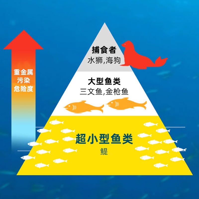 Goryeo Yindan rTG deep sea fish oil omega3 capsules