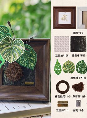 热带植物刺绣桌面摆件相框手工diy材料包节日活动文创生日礼物