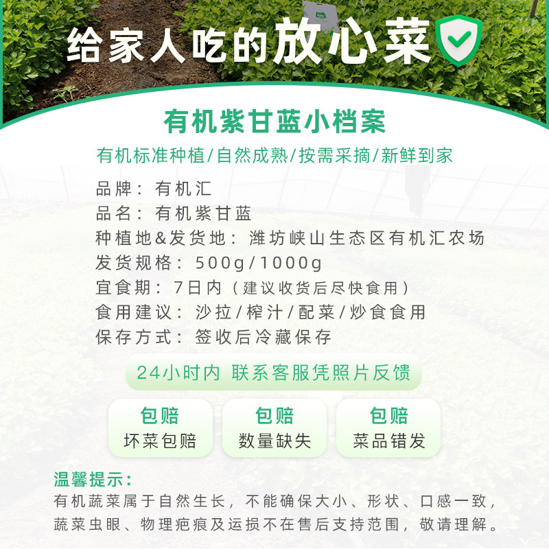 有机汇有机紫甘蓝 紫包菜卷心菜沙拉榨汁生吃有机蔬菜新鲜无农残,淘宝优惠券,粉丝福利购,淘宝优惠卷