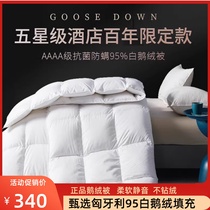 5-Star hotel 100% down by sub 95 white goose suede winter quilt by core thickened warm home spring and autumn quilt