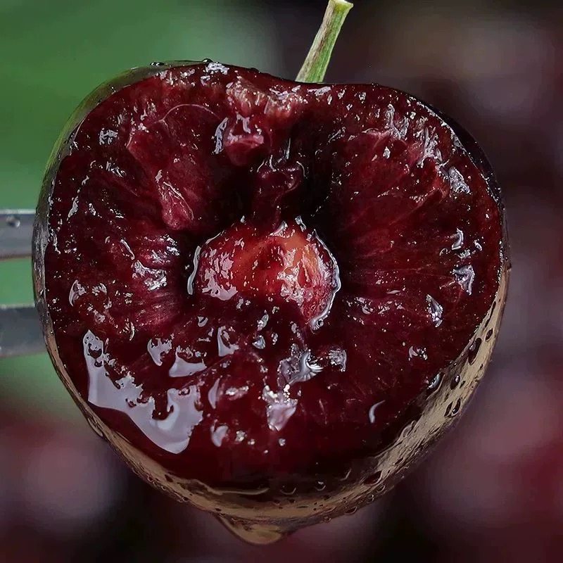 【现货】新鲜车厘子智利进口整箱高档大果樱桃孕妇当季新鲜车厘子,淘宝优惠券,粉丝福利购,淘宝优惠卷