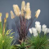 Моделирование тростника бонсай приземляется зеленые растения северные домашние украшения Внутренний ландшафт