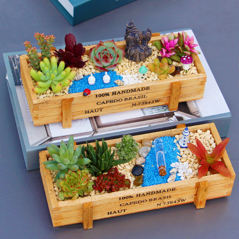 多肉植物组合盆栽套餐diy微景观材料包幼儿园儿童礼盒教师节礼物,淘宝优惠券,粉丝福利购,淘宝优惠卷