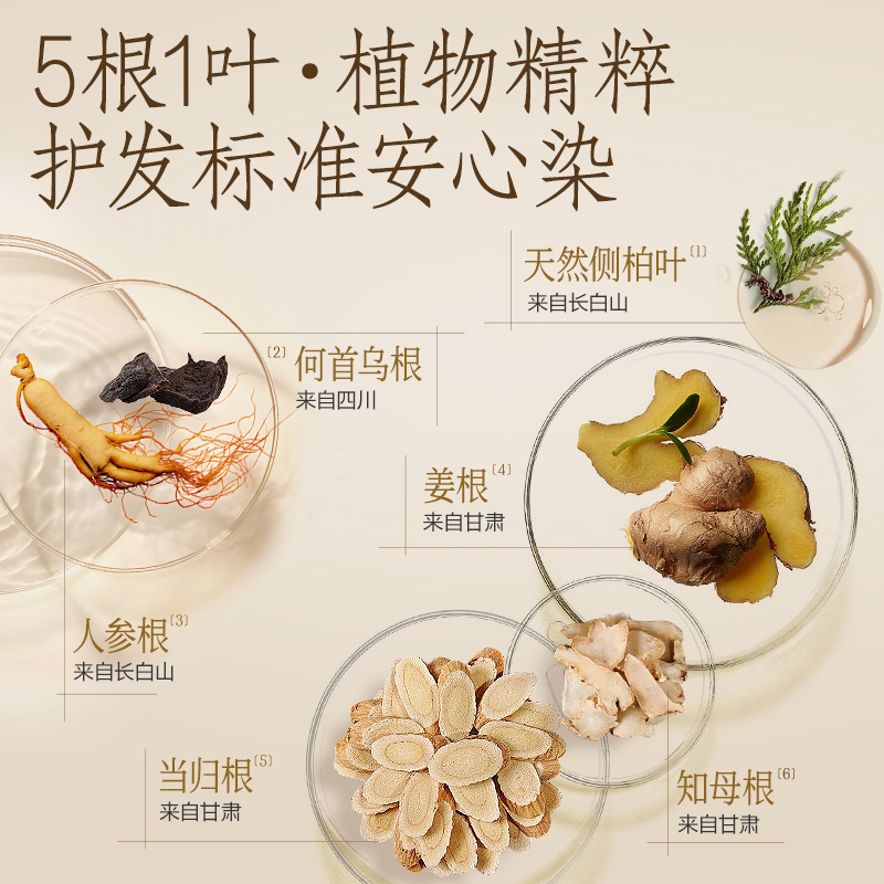 【方芳同款】网易严选一梳染发膏人参根黑茶色植物遮染发梳盖白