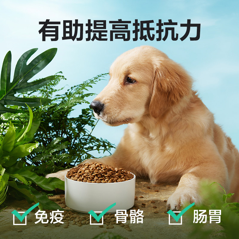 网易严选公益狗粮宠爱相伴犬粮成犬幼犬通用粮老年犬土狗大包装_虎窝淘