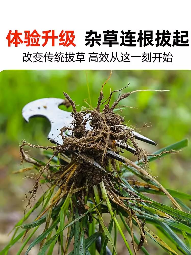 2023除草神器连根拔草工具园艺小型锄头除根锰钢松土铲挖野菜耙子 - 图3