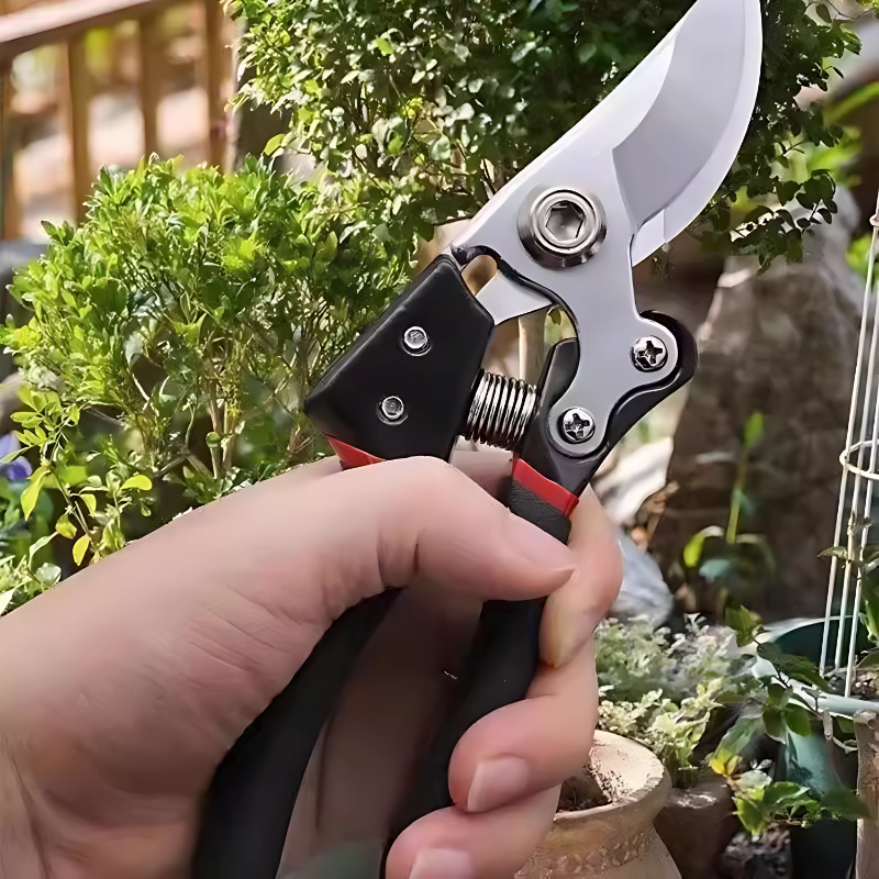 锰钢剪树剪子果树剪粗枝树枝修剪刀新款SK5原装家用花卉园艺剪刀,淘宝优惠券,粉丝福利购,淘宝优惠卷