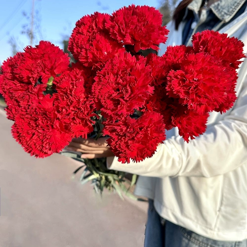 Гвозь цветочный букет Yunnan Цветочный базовый