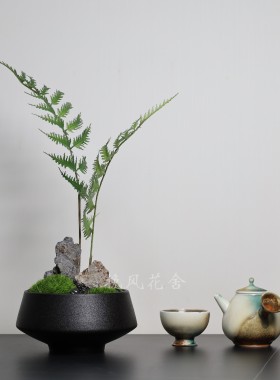 永生苔藓桌摆花艺仿真蕨类