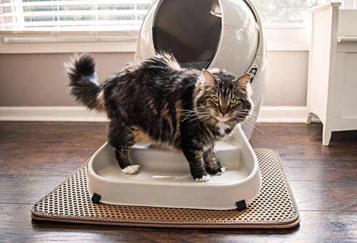 美国代购Litter robot by Whisker 猫砂屋猫砂垫除臭盒除臭剂 - 图0