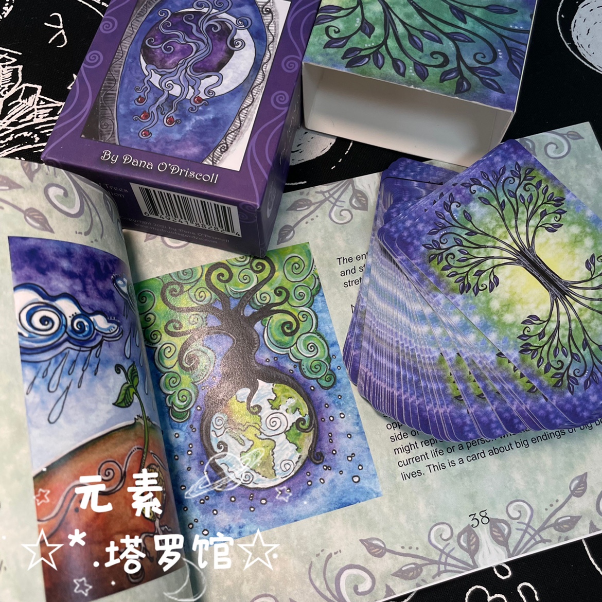 进口正版Tarot of Trees树之塔罗 树卡罗牌 套装 第五版 桌游牌卡 - 图1