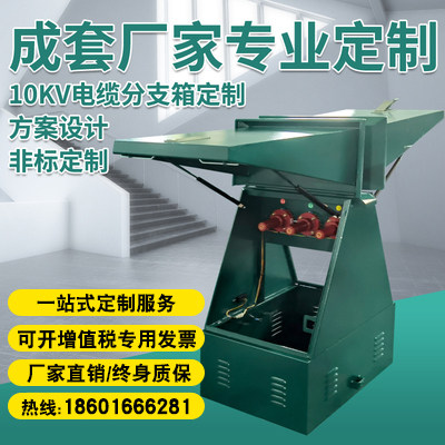 高压电缆分支箱10KV 一进一出分线箱不锈钢配电分接箱DFW-12/630A - 图0