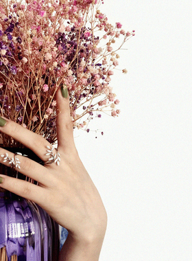 加拿大橄榄枝百搭钻石欧美风戒指