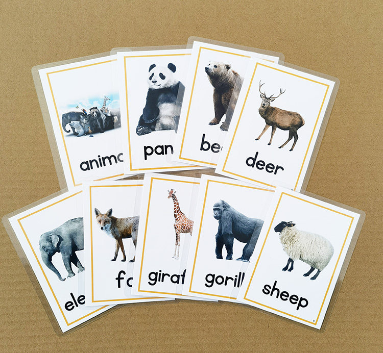 英语启蒙卡片动物认知卡片儿童单词闪卡宝宝早教玩具幼儿教师教具_虎窝淘
