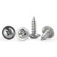 Wenzhou cross belt pad self-tapping galvanized