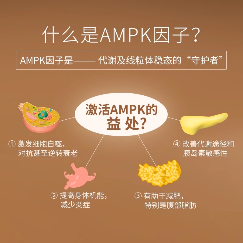 【直播】BIOE线粒体AMPK代谢PQQ激活咖啡片1.0