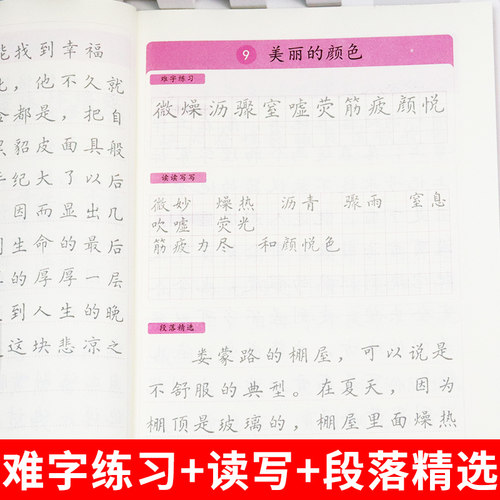 八年级上册下册同步练字帖配套人教版 初二语文同步字帖练字初中生专用中学生8上 下学期钢笔临摹正楷书写字课课练衡水体英语字贴 - 图3
